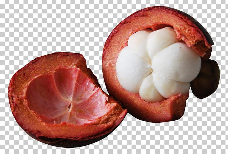 Purple Mangosteen PNG, Clipart, Color, Color Model, Download, Food, Fruit Free PNG Download