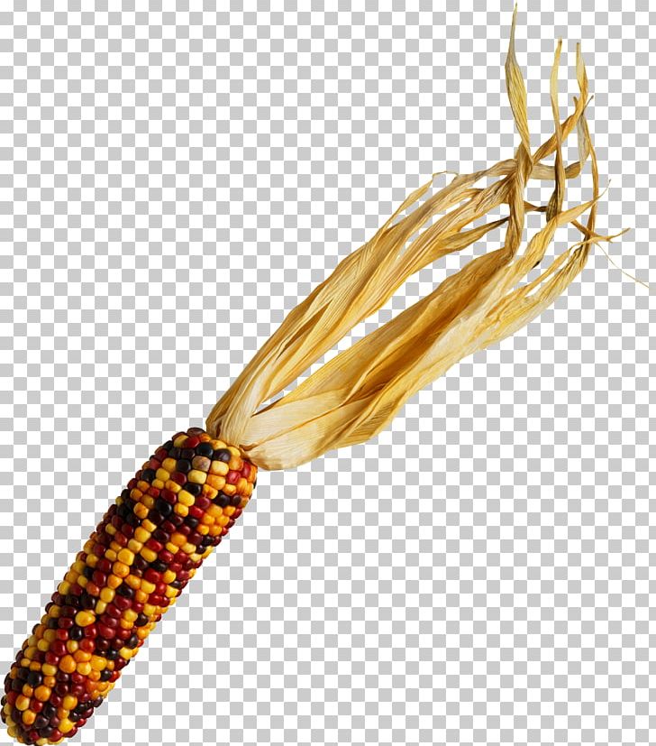 Waxy Corn Corn On The Cob Photography PNG, Clipart, Color, Commodity, Corn, Corn On The Cob, Fotosearch Free PNG Download