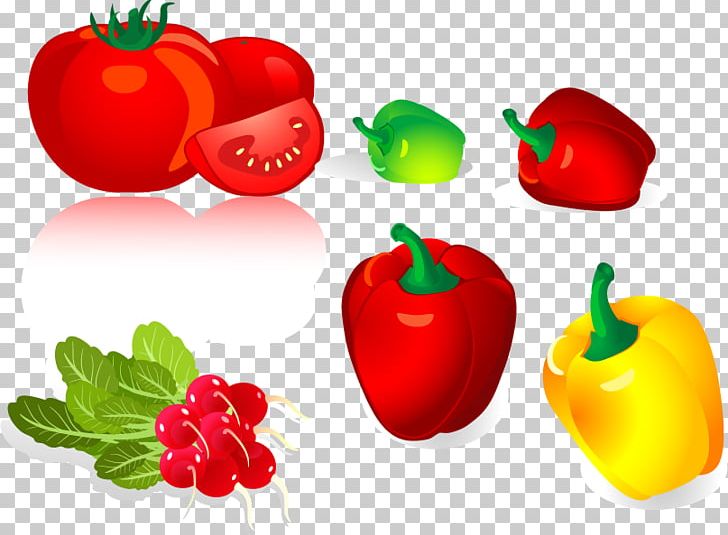 Bell Pepper Chili Pepper Vegetable PNG, Clipart, Bell Pepper, Cabbage, Chili Pepper, Food, Fruit Free PNG Download