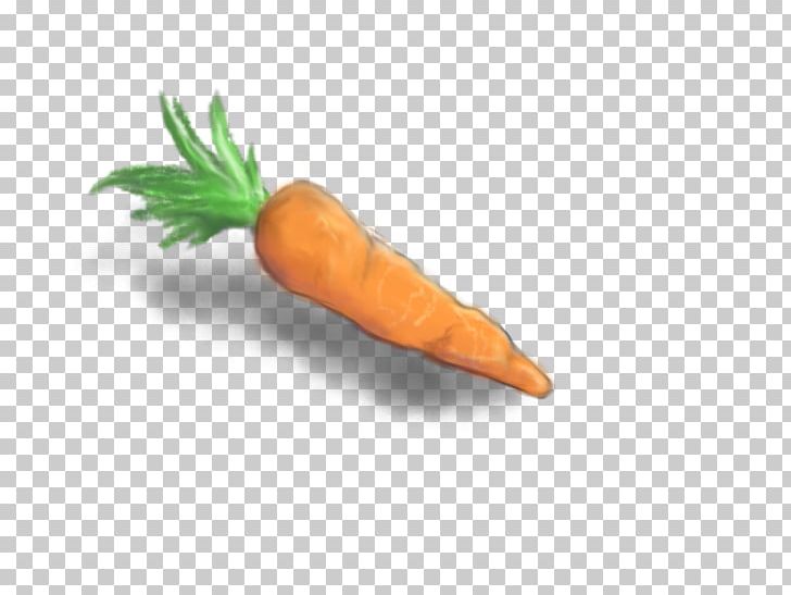 Carrot Vegetable Food Drawing Sketch PNG, Clipart, Art, Baby Carrot, Carrot, Coloring Book, Drawing Free PNG Download