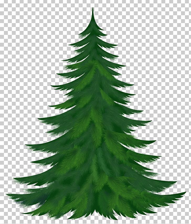 Pine Tree Conifer Cone PNG, Clipart, Christmas Decoration, Christmas Ornament, Christmas Tree, Conifer, Conifer Cone Free PNG Download
