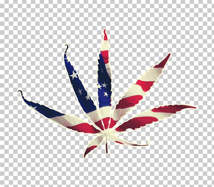 Cannabis Flag Of The United States Leaf PNG, Clipart, Cannabis, Computer Icons, Flag, Flag Of The United States, Haze Free PNG Download