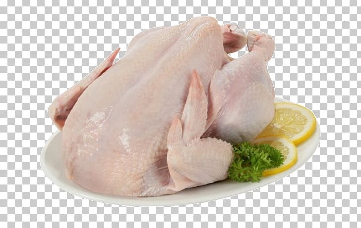 Chicken As Food Hainanese Chicken Rice White Cut Chicken Meat PNG, Clipart,  Animal Fat, Animals, Animal