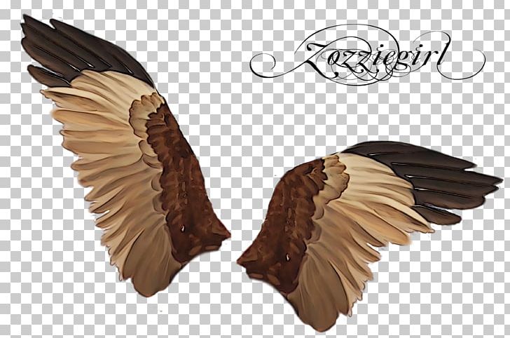 Mirror Light Parede PNG, Clipart, Beak, Bird, Bird Of Prey, Color, Eagle Free PNG Download