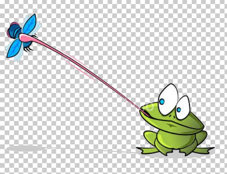Poison Dart Frog Amphibian Cartoon PNG, Clipart, American Bullfrog, Animals, Area, Catch, Catch The Worm Free PNG Download