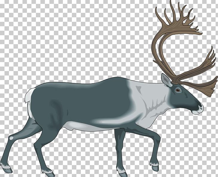 Reindeer Elk PNG, Clipart, Animals, Antelope, Antler, Blog, Deer Free PNG Download