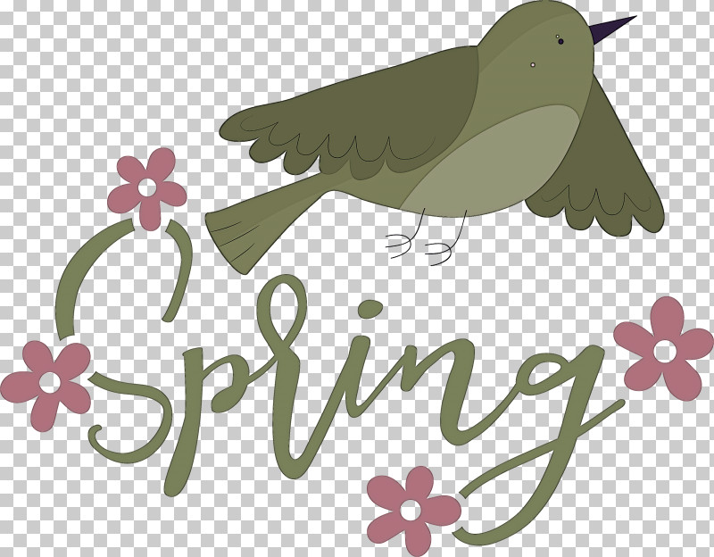 Spring Bird PNG, Clipart, Bats, Beak, Bird, Birds, Drawing Free PNG Download