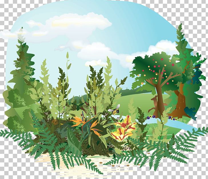 Garden Of Eden Bible Adam And Eve Genesis PNG, Clipart, Adam, Adam And Eve, Bible, Clip Art, Conifer Free PNG Download