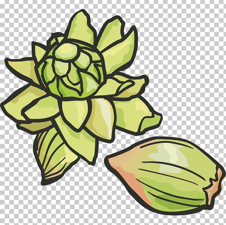 Fruit Fuki Vegetable Illustration PNG, Clipart, Auglis, Background Green, Floral Design, Flower, Flowering Plant Free PNG Download