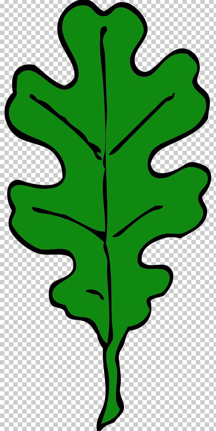Leaf Acorn PNG, Clipart, Acorn, Artwork, Autumn Leaf Color, Download, Flowering Plant Free PNG Download