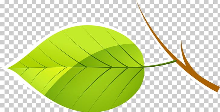 Leaf Green Euclidean PNG, Clipart, Background Green, Botany, Branch, Decorative, Decorative Pattern Free PNG Download