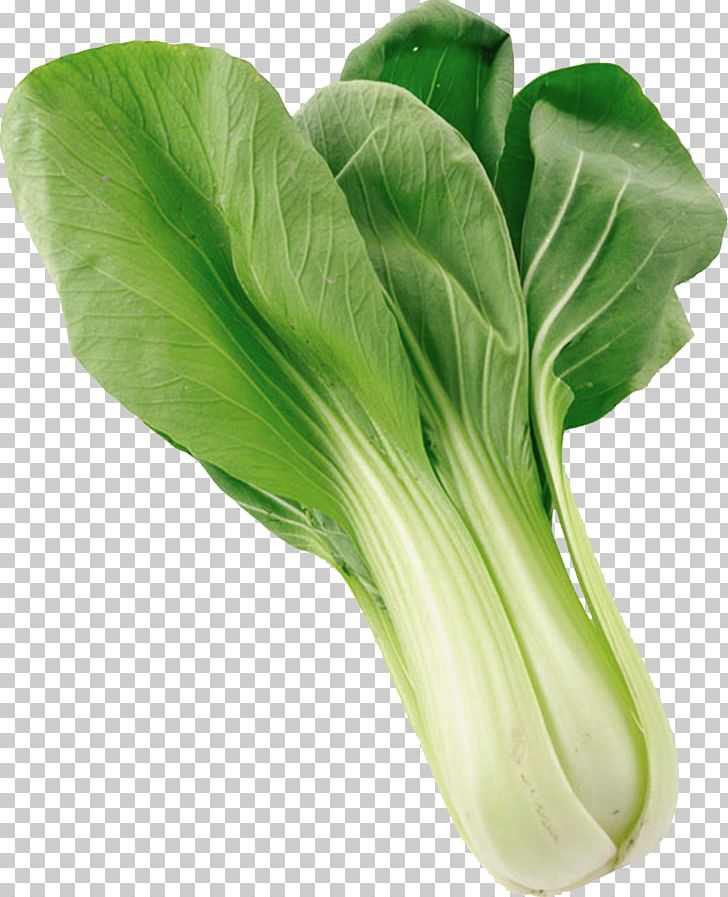 Napa Cabbage Rapeseed Choy Sum Vegetable Chinese Cabbage PNG, Clipart, Brassica, Brassica Rapa, Cabbage, Chard, Food Free PNG Download