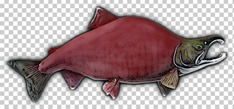 Fish Turtle Sockeye Salmon Mouth Fish Products PNG, Clipart, Fish, Fish Products, Mouth, Sea Turtle, Sockeye Salmon Free PNG Download