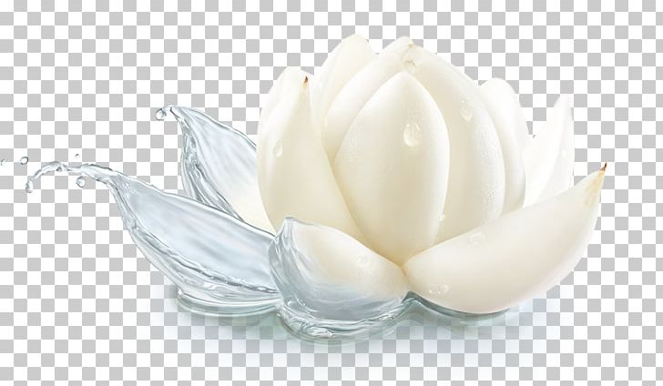 Flavor Cream Petal PNG, Clipart, Calla Lily, Cream, Dairy Product, Flavor, Flowers Free PNG Download