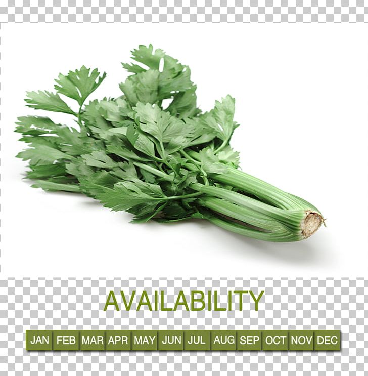 Leaf Vegetable Food Celery Herb PNG, Clipart, Celery, Collard Greens, Food, Food Drinks, Herb Free PNG Download