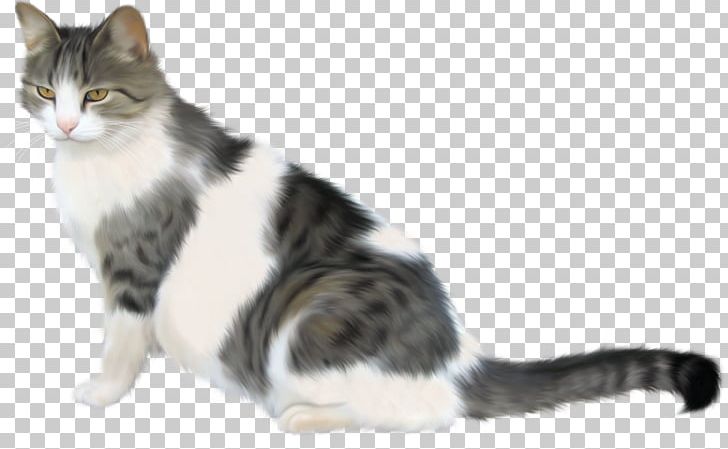 Tabby Cat Kitten PNG, Clipart, American Shorthair, American Wirehair, Animal, Animals, Carnivoran Free PNG Download
