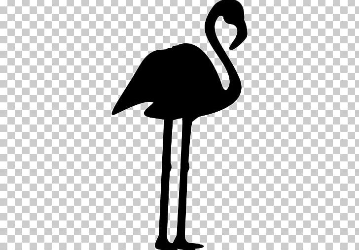Bird Phoenicopterus Computer Icons PNG, Clipart, Animals, Beak, Bird, Black And White, Computer Icons Free PNG Download
