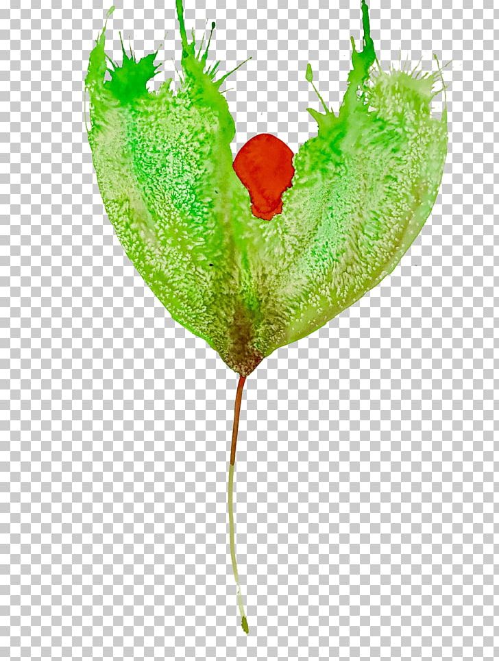 Leaf Plant Stem Petal Heart PNG, Clipart, Grass, Heart, Leaf, Petal, Plant Free PNG Download