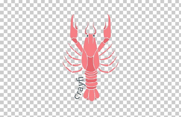 Seafood Crab Oyster Illustration PNG, Clipart, Animals, Cartoon Lobster, Color, Computer Wallpaper, Crab Free PNG Download