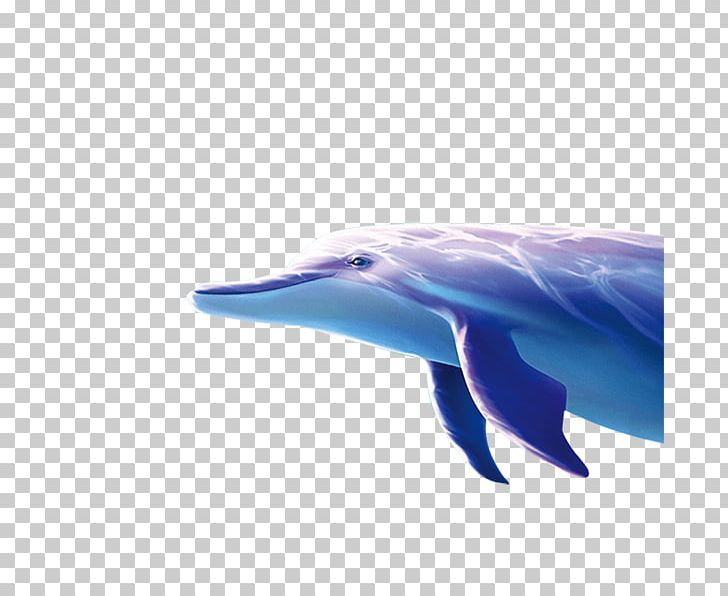 Striped Dolphin Computer File PNG, Clipart, Animal, Animals, Beak, Blue, Cartoon Dolphin Free PNG Download