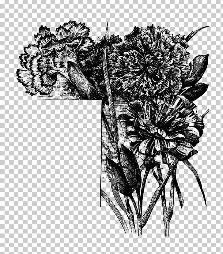 Flower Visual Arts PNG, Clipart, Art, Black, Black And White, Carnation, Drawing Free PNG Download