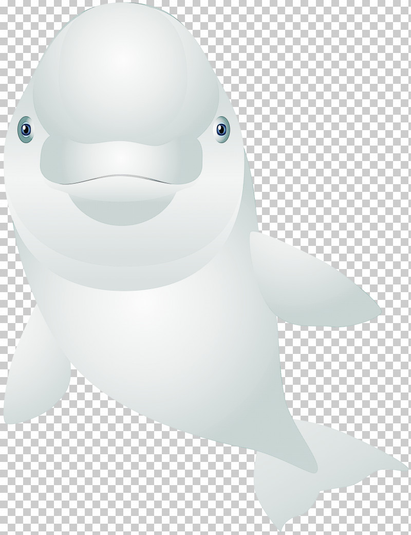 Dolphin Cetacea Beluga Whale PNG, Clipart, Beluga Whale, Cetacea, Dolphin Free PNG Download