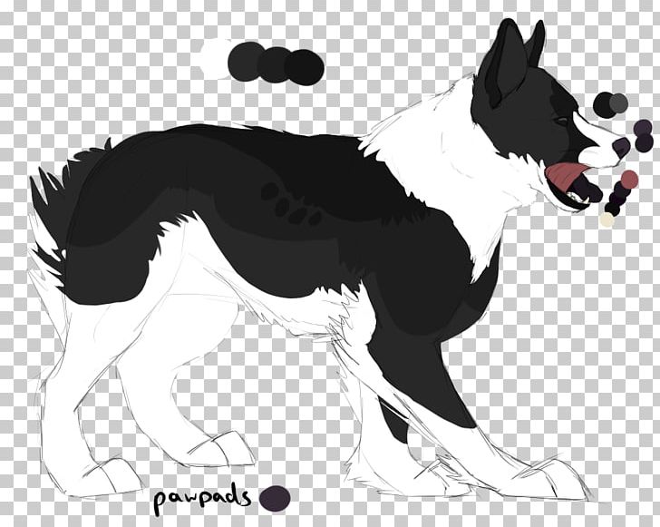 Dog Breed Border Collie Rough Collie Horse Snout PNG, Clipart, Animals, Black And White, Border Collie, Breed, Caracal Free PNG Download