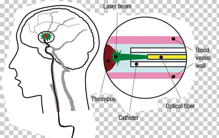 Ear Human Behavior Organism Point PNG, Clipart, Angle, Area, Behavior, Brain, Circle Free PNG Download