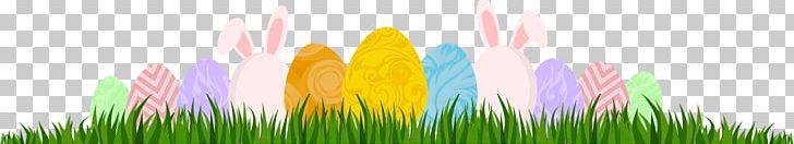 Easter Bunny Easter Egg Egg Hunt PNG, Clipart, Chicken, Computer Wallpaper, Couponcode, Desktop Wallpaper, Divider Free PNG Download