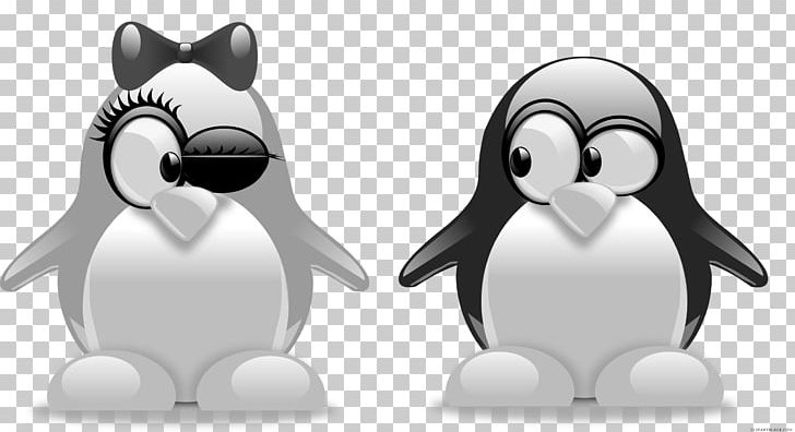 Penguin Tuxedo T-shirt PNG, Clipart, Animals, Beak, Bird, Black And White, Black White Free PNG Download