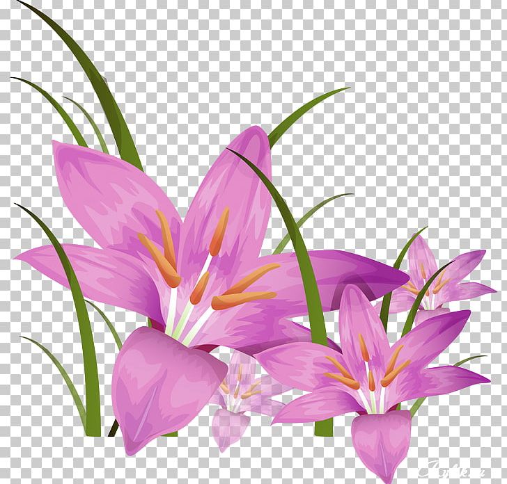 Stock Photography Flower PNG, Clipart, Alamy, Art, Clip Art, Crocus, Cut Flowers Free PNG Download