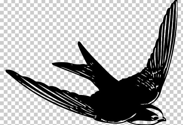 Swallow Beak Feather Eagle Silhouette PNG, Clipart, Animals, Beak, Bird, Bird Of Prey, Black And White Free PNG Download