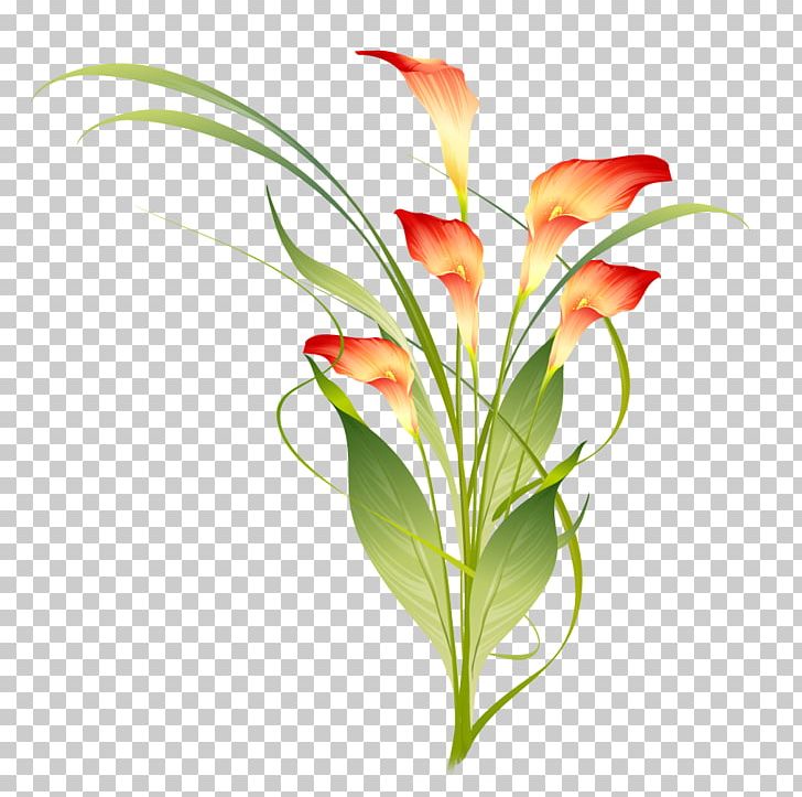 Flower Photography PNG, Clipart, Art Clipart, Artificial Flower, Bouquet, Bud, Clip Free PNG Download