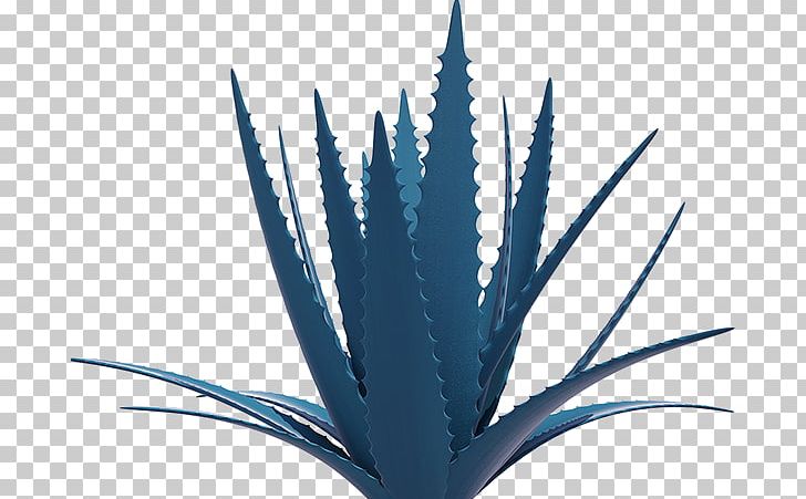 Agave Azul Los Altos De Jalisco Nutriagaves De México PNG, Clipart, Agave, Agave Azul, Aloe, Aloe Vera, Azul Free PNG Download