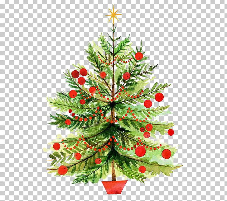 Christmas Tree Illustration PNG, Clipart, Christmas, Christmas Decoration, Christmas Frame, Christmas Lights, Cushion Free PNG Download