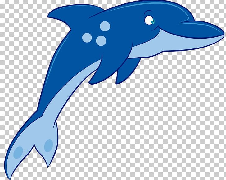Common Bottlenose Dolphin Tucuxi Swimming PNG, Clipart, Beak, Bottlenose Dolphin, Canada, Child, Computer Program Free PNG Download