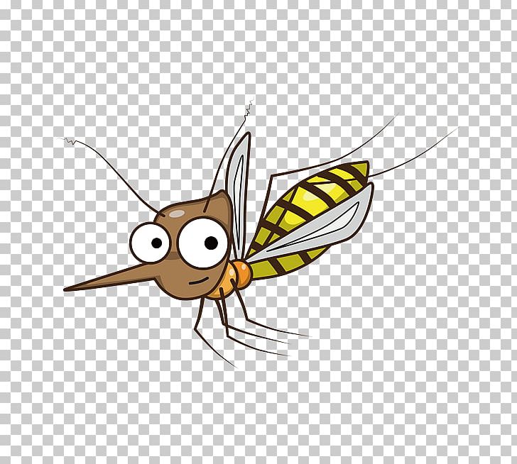 Mosquito Insect Butterfly Biological Life Cycle PNG, Clipart, Arthropod, Balloon Cartoon, Bee, Boy Cartoon, Cartoon Character Free PNG Download