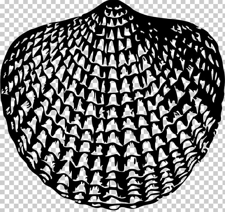 World Ocean Seashell Brachiopod PNG, Clipart, Animals, Black And White, Brachiopod, Circle, Drawing Free PNG Download