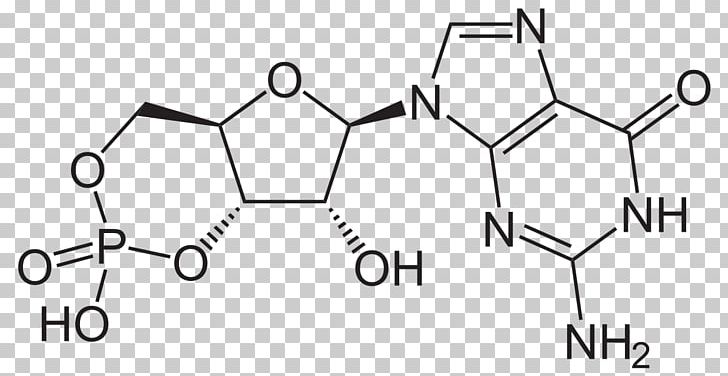 Cyclic Guanosine Monophosphate Adenosine Monophosphate Cyclic Nucleotide PNG, Clipart, Adenosine Monophosphate, Angle, Area, Biochemistry, Black Free PNG Download