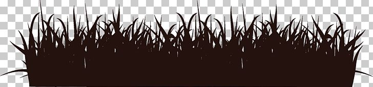 Euclidean Computer File PNG, Clipart, Black, Festive Elements, Grass, Halloween, Meadow Free PNG Download