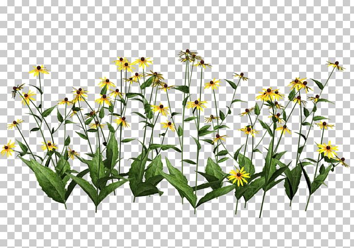 Houseplant PNG, Clipart, Bromeliads, Cut Flowers, Flora, Floral Design, Flower Free PNG Download