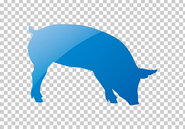 Pig Sticker Tiger Lion Felidae PNG, Clipart, Animals, Blue, Bumper Sticker, Carnivoran, Color Free PNG Download