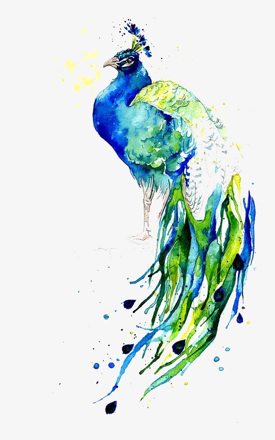 Blue Peacock PNG, Clipart, Abstract, Animal, Art, Backgrounds, Blue Free PNG Download