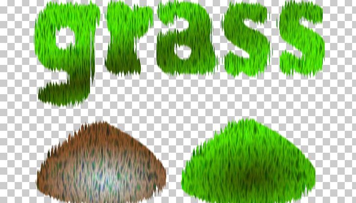 Grasses Computer Icons PNG, Clipart, Cartoon Pictures Of Grass, Computer Icons, Download, Graminoid, Grass Free PNG Download