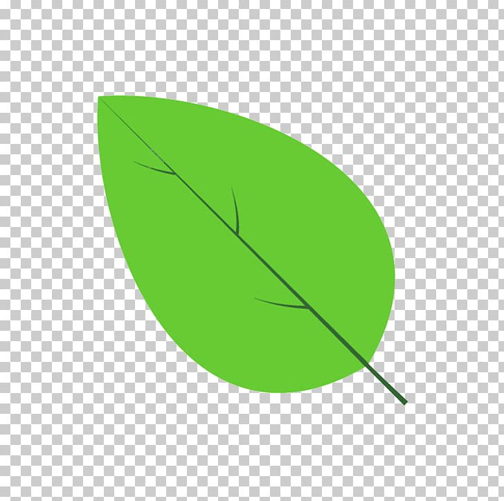 Leaf Line Angle Green PNG, Clipart, Angle, Circle, Grass, Green, Leaf Free PNG Download