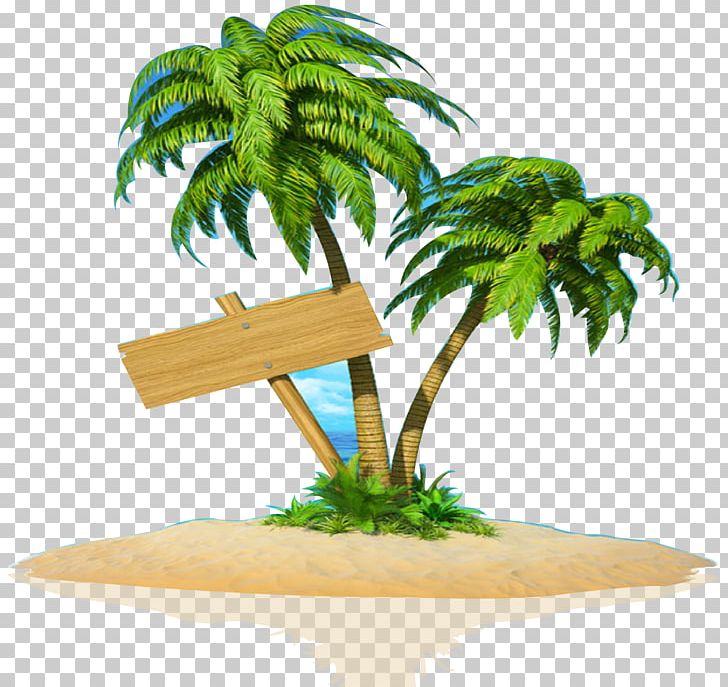 Sea Islands Arecaceae Floating Island Coconut PNG, Clipart, Arecaceae, Arecales, Beach, Christmas Tree, Coconut Free PNG Download