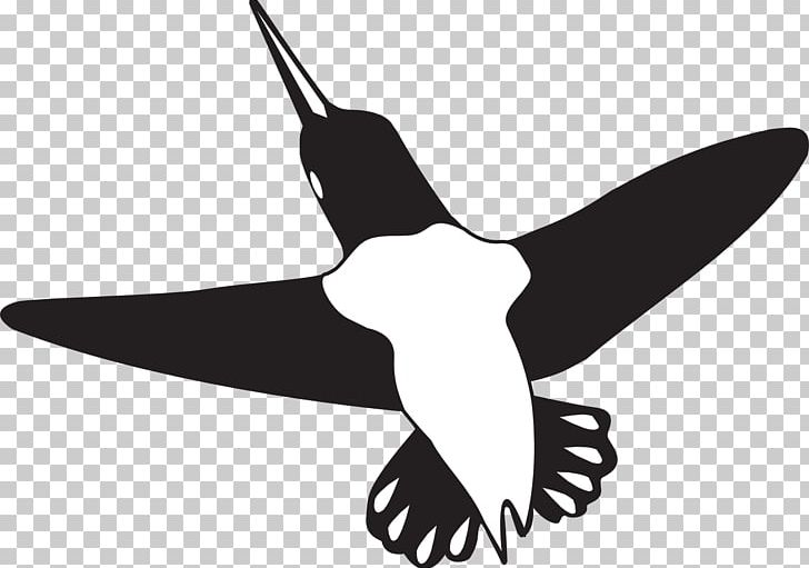 Beak Hummingbird Wing PNG, Clipart, Animal, Animals, Beak, Bird, Black And White Free PNG Download