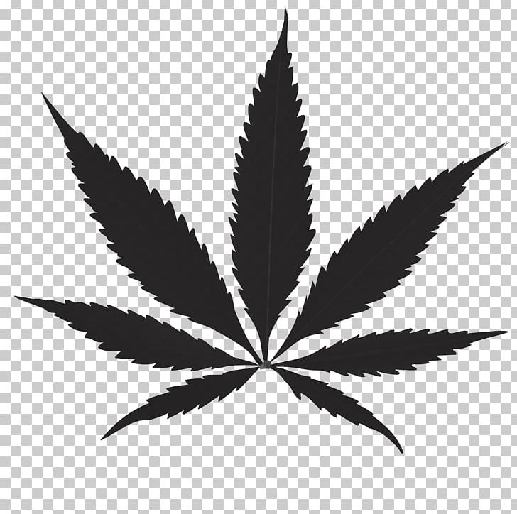 Medical Cannabis Joint PNG, Clipart, Black And White, Cannabis, Cannabis Joint, Cannabis Social Club, Drug Free PNG Download