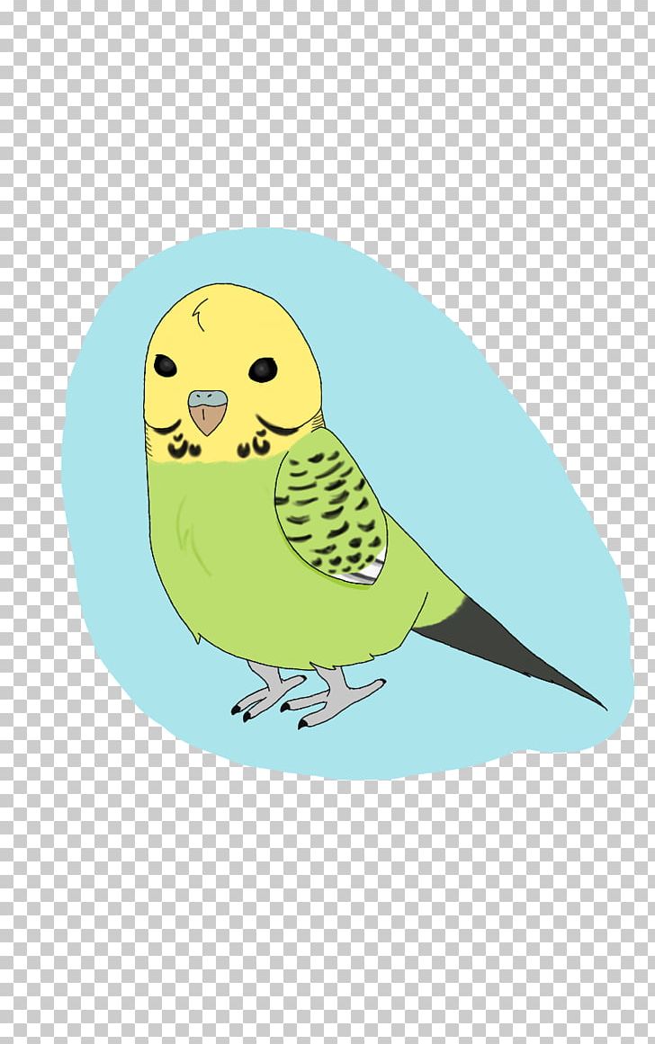 Owl Bird Beak Feather PNG, Clipart, Animals, Art, Beak, Bird, Bird Of Prey Free PNG Download