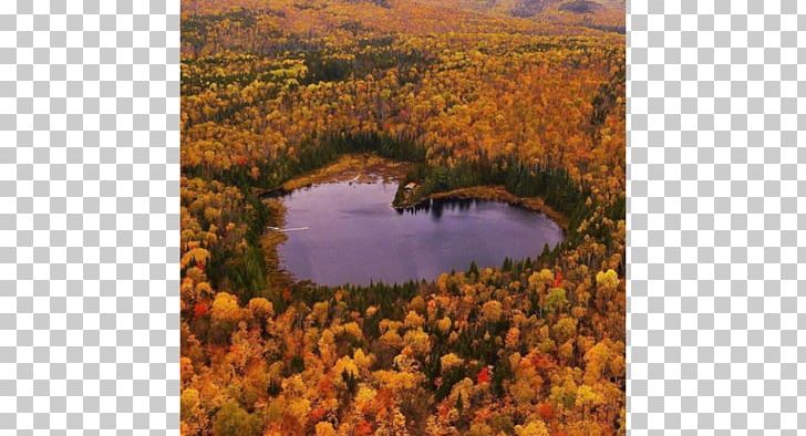 Quebec City Heart Lake Otter Lake Name Of Canada Arthabaska Regional County Municipality PNG, Clipart, Autumn, Canada, City, Earth, Flower Free PNG Download